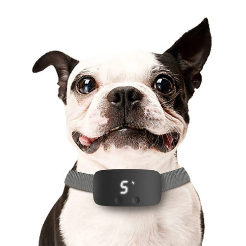 Anti-Barking Collar For Dogs - Hot Sale 50% Off