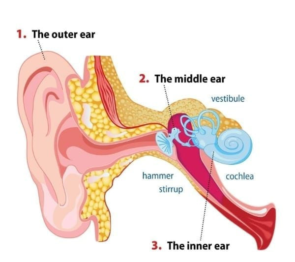 Techsilen - Instant Tinnitus Relief Nasal Inhaler - Nilola