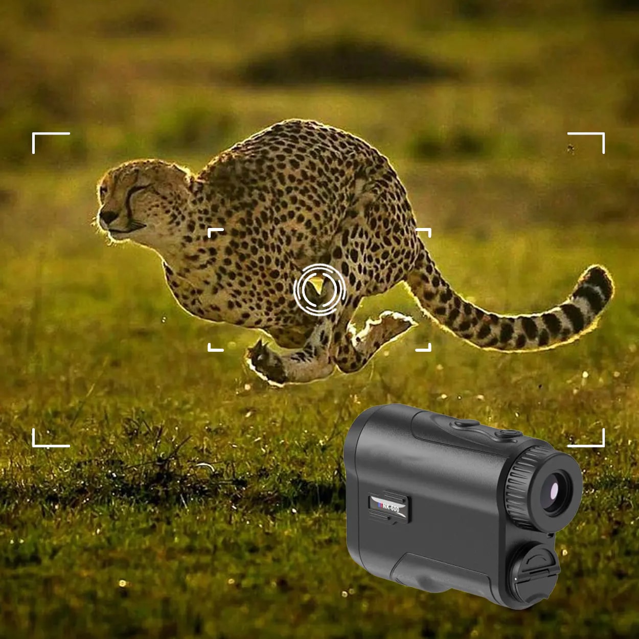 Elevate Your Hunt with LarisSpot's Cutting-Edge Technology