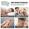 Deep Cleansing Detox Foot Pads